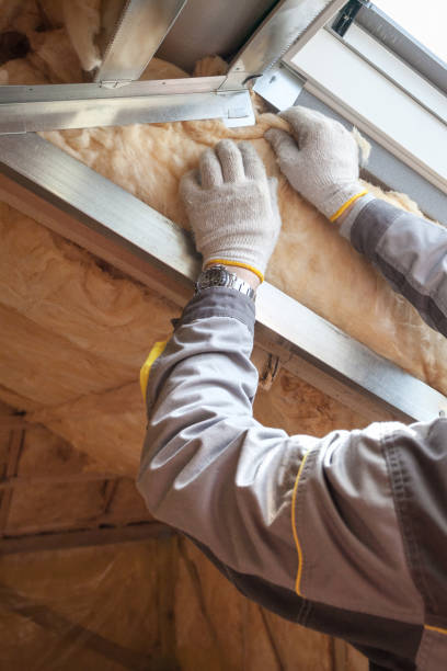 Best Spray Foam Insulation in Portales, NM