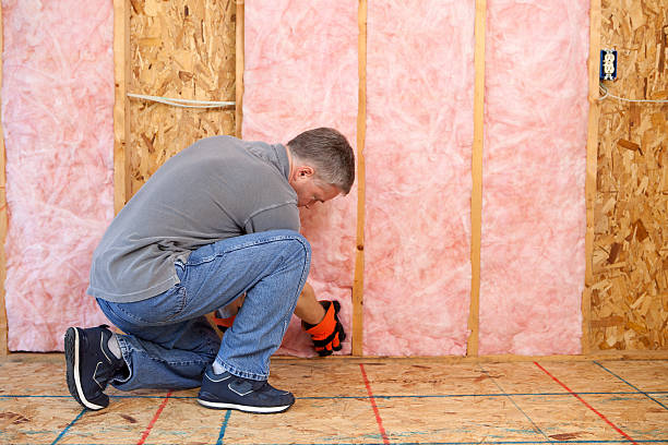 Best Residential Insulation in Portales, NM